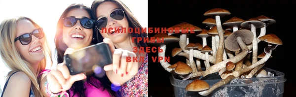 дмт Верхний Тагил