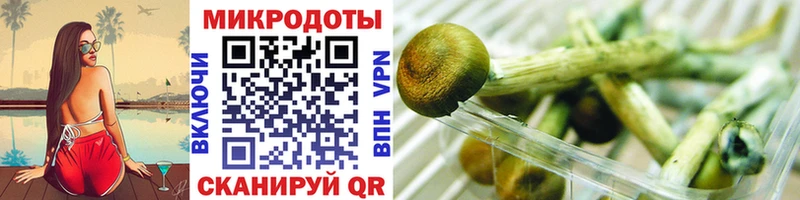 Галлюциногенные грибы MAGIC MUSHROOMS  Чулым 